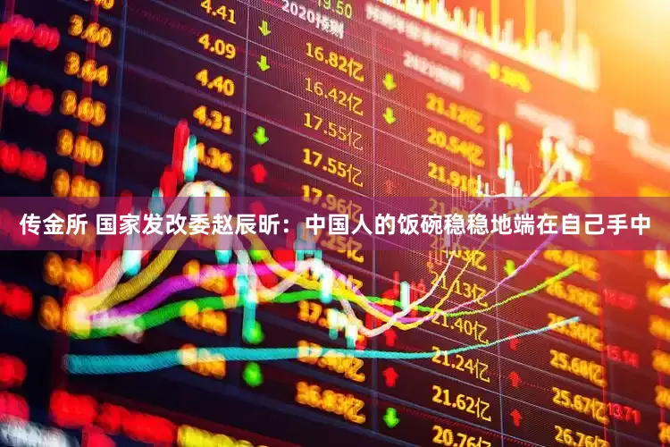 传金所 国家发改委赵辰昕：中国人的饭碗稳稳地端在自己手中