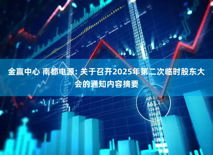 金赢中心 南都电源: 关于召开2025年第二次临时股东大会的通知内容摘要
