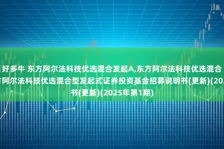好多牛 东方阿尔法科技优选混合发起A,东方阿尔法科技优选混合发起C: 东方阿尔法科技优选混合型发起式证券投资基金招募说明书(更新)(2025年第1期)